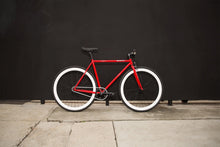 Load image into Gallery viewer, Charlie - hangnpt5