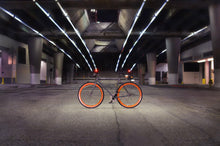 Load image into Gallery viewer, Papa - hangnpt5