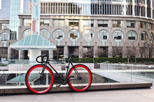 Load image into Gallery viewer, Echo - hangnpt5
