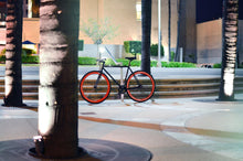 Load image into Gallery viewer, Echo - hangnpt5
