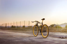 Load image into Gallery viewer, India - hangnpt5
