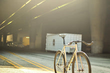 Load image into Gallery viewer, Keirin Track Frameset - hangnpt5
